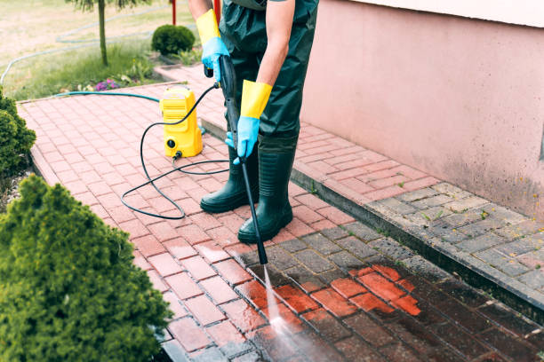 Best Animal Enclosure Cleaning  in Indialantic, FL